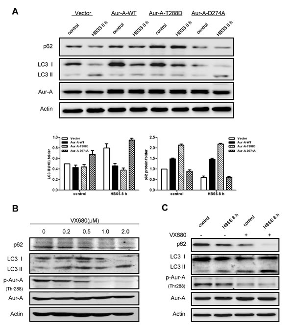 FIG4