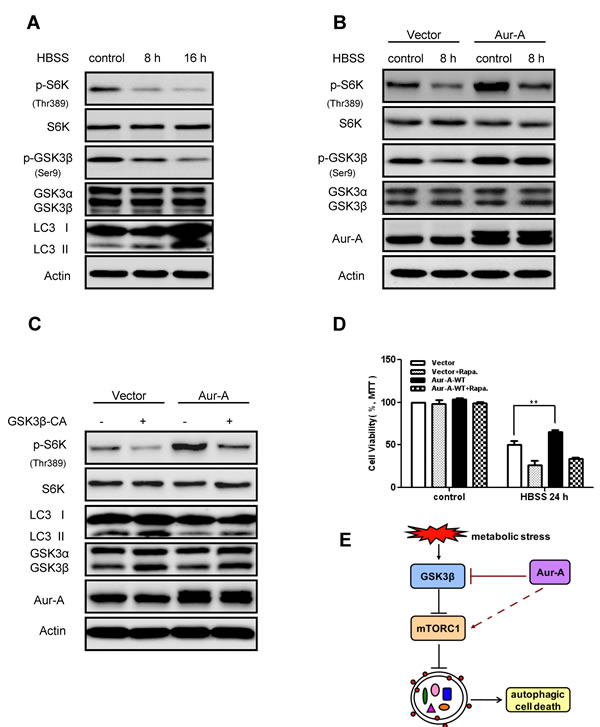 FIG5