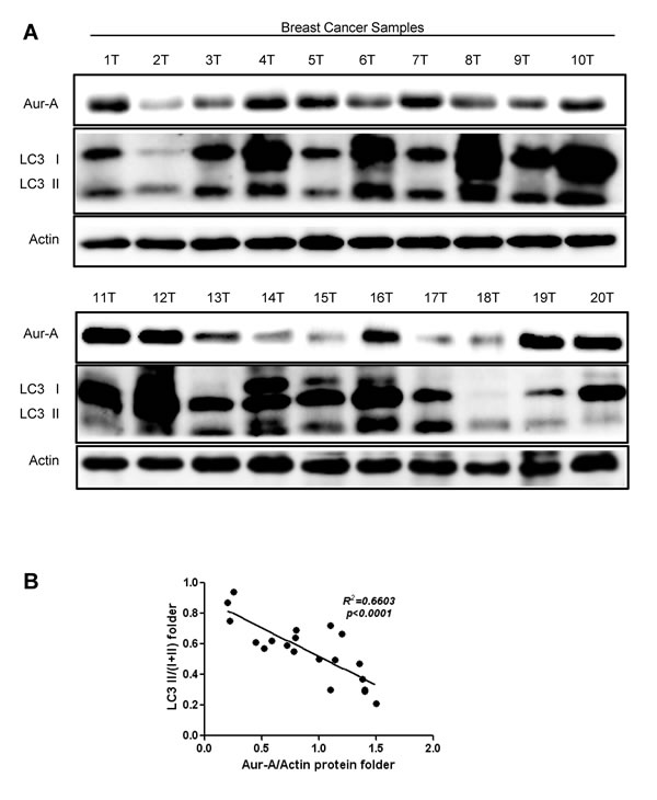FIG6