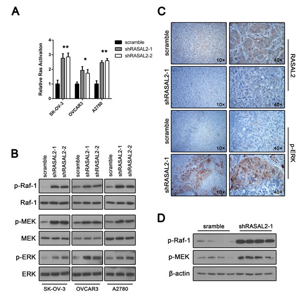 FIG4