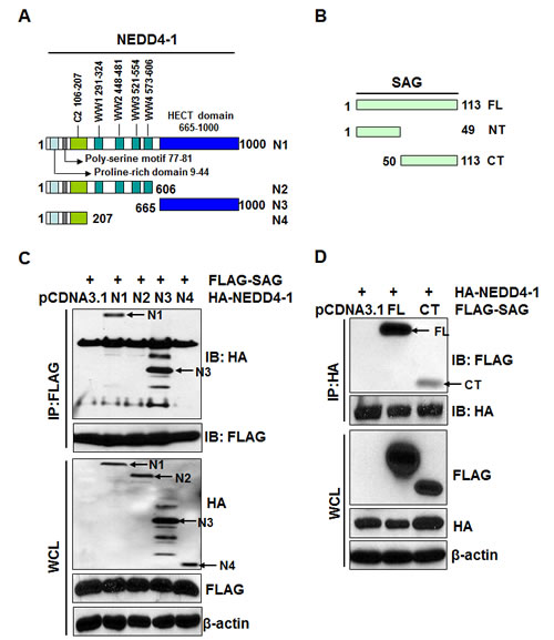 fig2