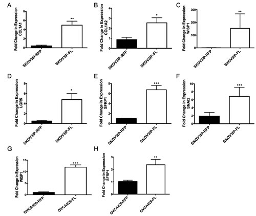 fig3