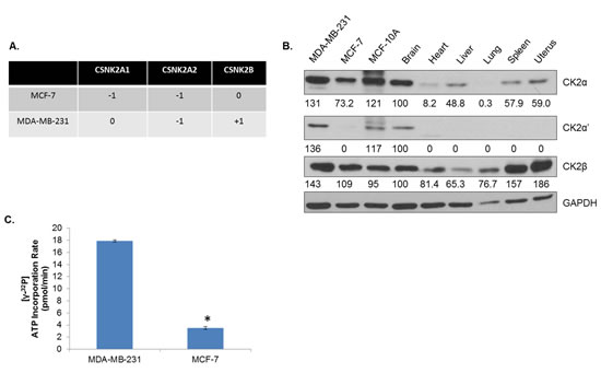 fig2