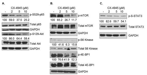 fig3