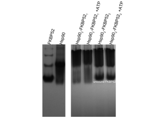 Figure3.png