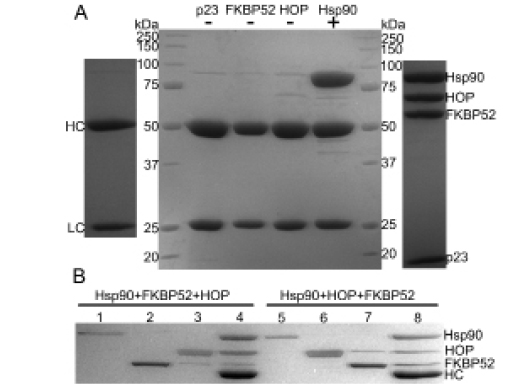 Figure4.png