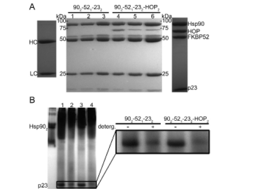 Figure5.png