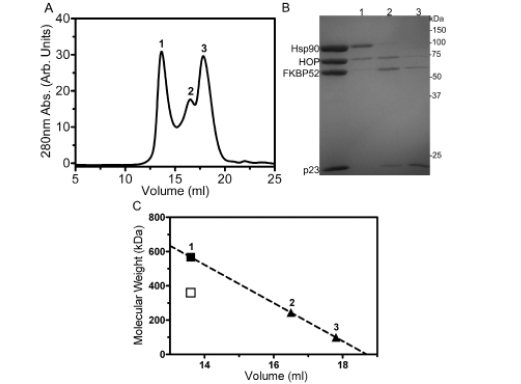 Figure6.png
