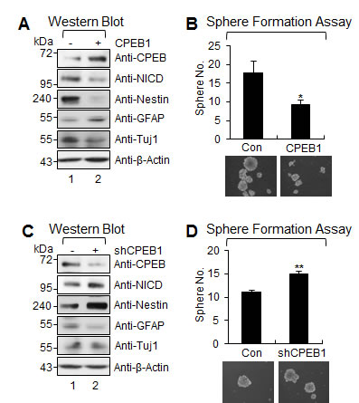 fig2