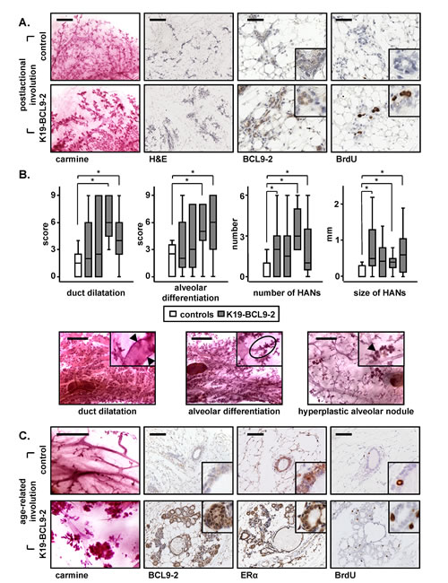 FIG3