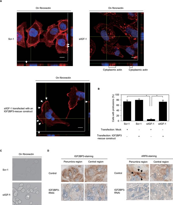 fig6