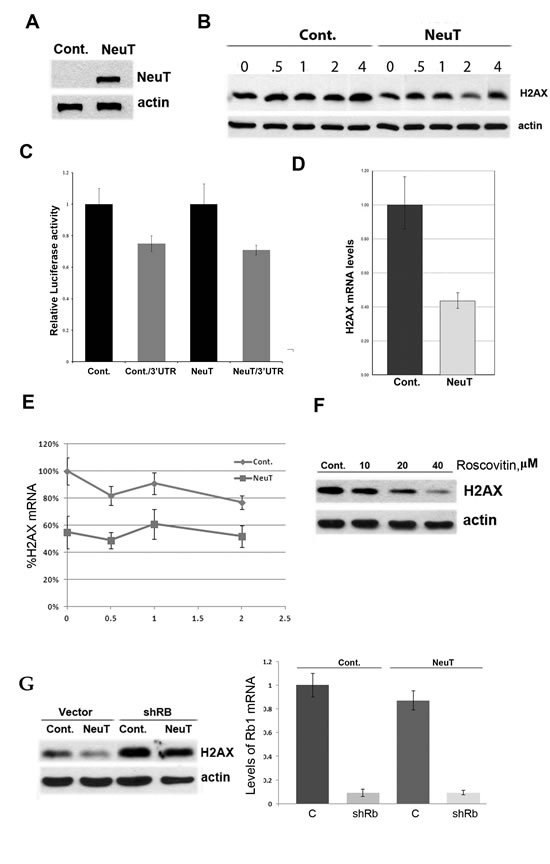 FIG2