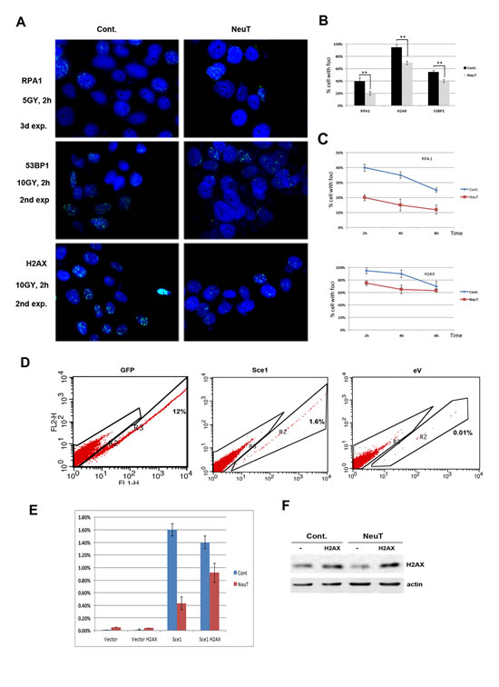 FIG3
