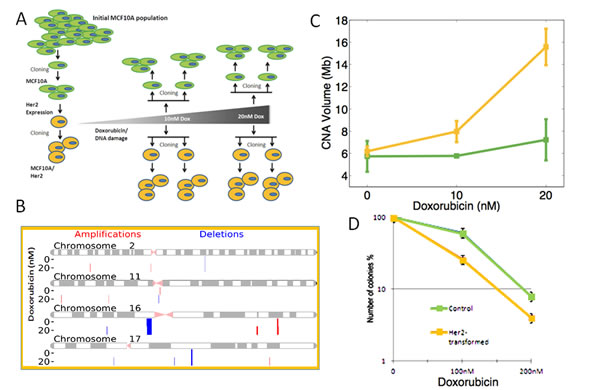 FIG4