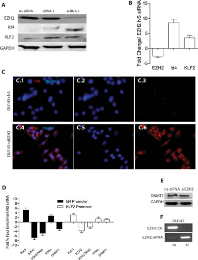 fig4