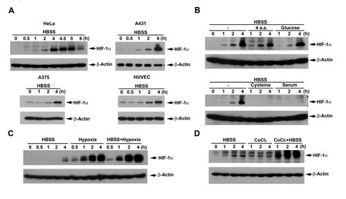 FIG1