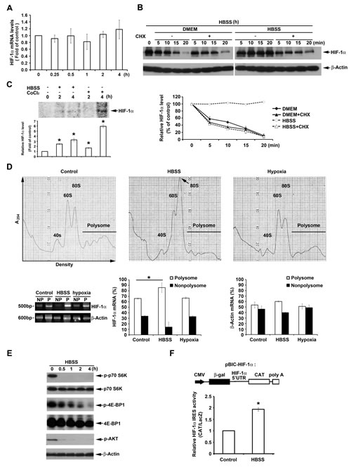 FIG2