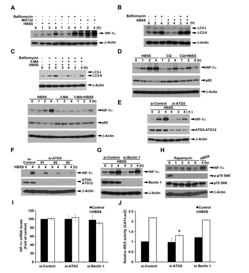 FIG3