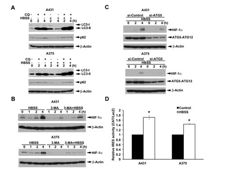 FIG4