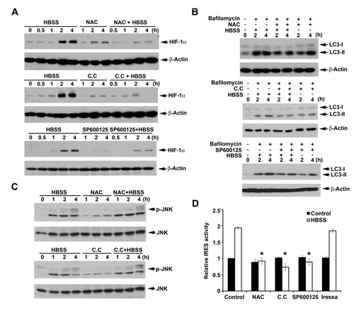 FIG6