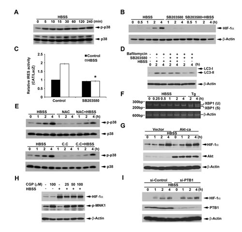FIG7