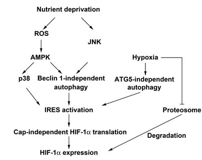 FIG8