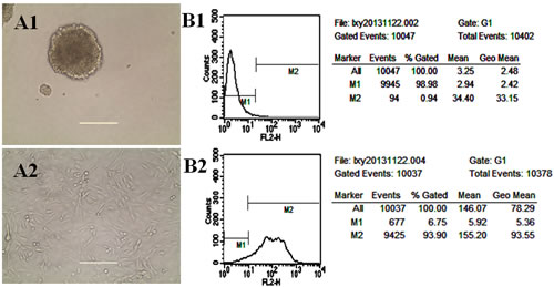 fig2
