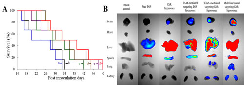fig7ab