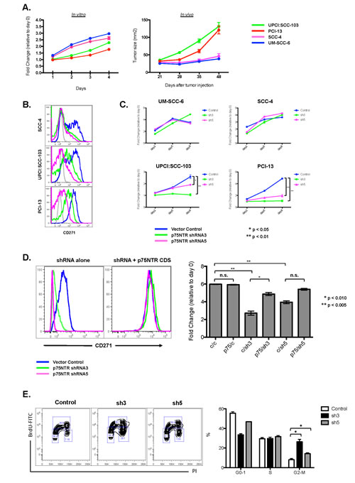 fig2