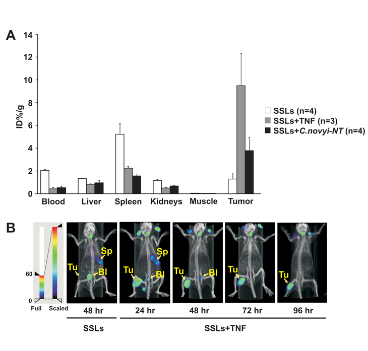 Fig.2.jpg