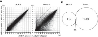 fig2