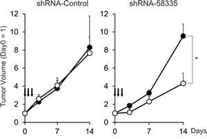 fig4