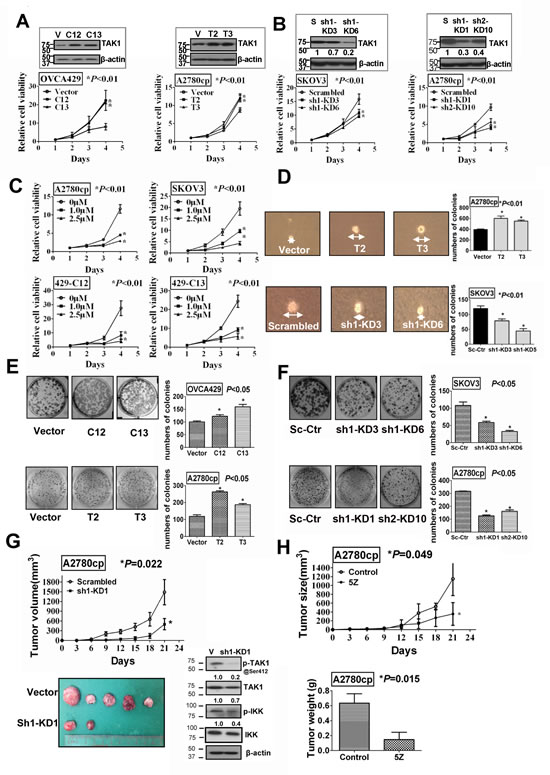 fig2