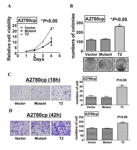 fig6