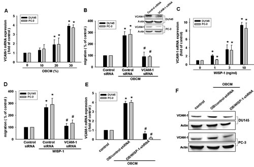 FIG2