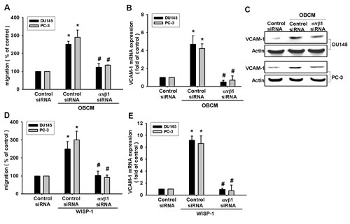 FIG3