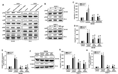 FIG4