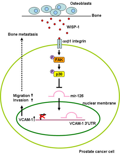 FIG6