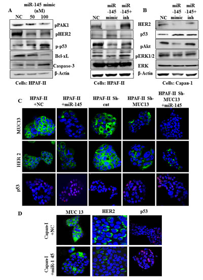 fig3