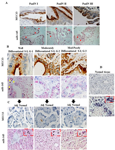 fig6