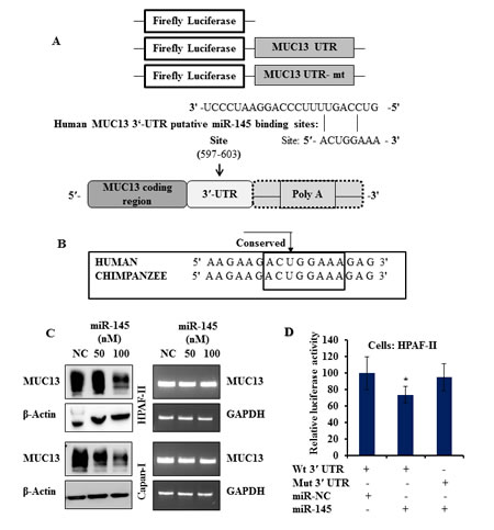 fig1