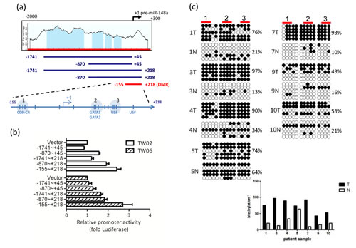 fig2abc