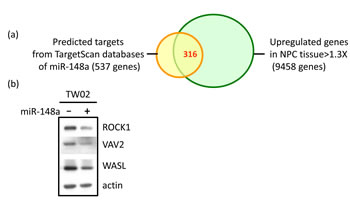 fig4ab
