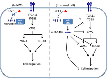 fig6