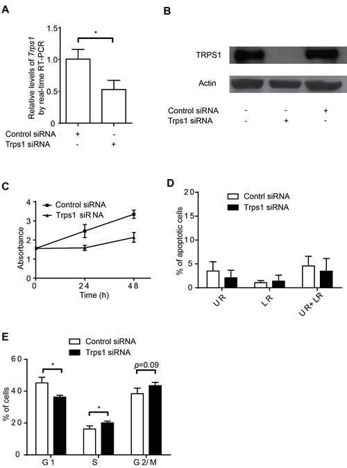 FIG1