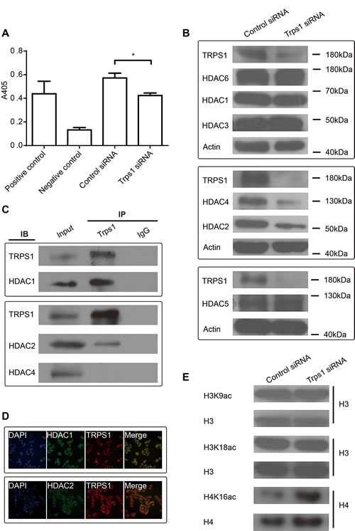 FIG3