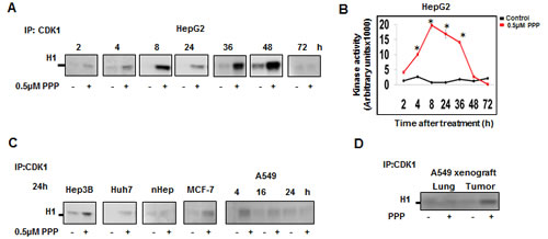 fig2