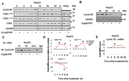 fig3