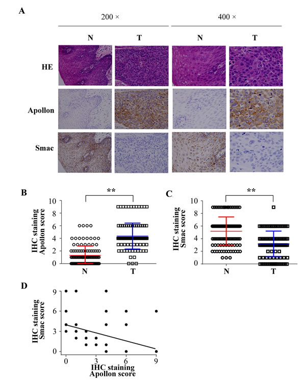 fig2