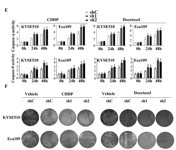 fig4b